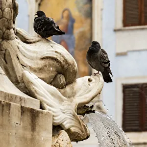 Latin Prints: Italy, Rome. Piazza della Rotunda, close-up of Fontana del Pantheon
