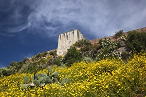 Low Angle View Prints: ITALY, Sardinia, Bosa. Cacti and Castello Malaspina