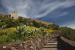 Italy, Sardinia, Bosa. Cacti and Castello Malaspina