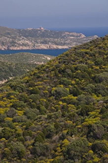 Images Dated 7th May 2009: ITALY, Sardinia, Capo Malfatano. Coast view towards Capo Spartivento