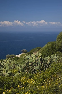 Cagliari Province Prints: Italy, Sardinia, Capoterra. Southeast coast