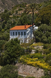 Italy, Sardinia, Masua. House with palm