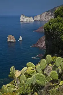 Images Dated 7th May 2009: ITALY, Sardinia, Nebida. Coastline by Scoglio Pan di Zucchero islet