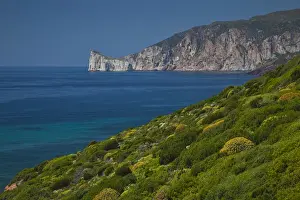 Images Dated 7th May 2009: ITALY, Sardinia, Nebida. Coastline by Scoglio Pan di Zucchero islet