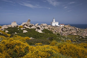 Hilltop Prints: ITALY, Sardinia, Santa Teresa Gallura. Capo Testa lighthouse