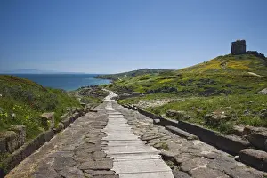 Images Dated 8th May 2009: ITALY, Sardinia, Tharros. Ruins of ancient Phoenician city, Cardus Maximus road