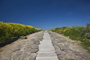 Wide Angle Prints: ITALY, Sardinia, Tharros. Ruins of ancient Phoenician city, Cardus Maximus road