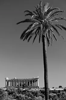 Black and White Collection: Italy, Sicily, Agrigento, La Valle dei Templi, Valley of the Temples, The Temple of Concordia