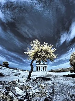 Sicily Prints: Italy, Sicily, Agrigento. Lone tree with the ruins of Agrigento