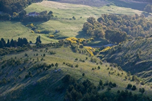 Images Dated 20th May 2005: Italy, Sicily, Enna, Morning View of the Valley below