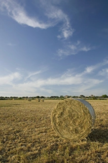 Images Dated 18th May 2005: ITALY-Sicily-MODICA: Hay Rolls at Sunset