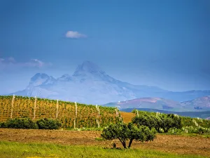 Images Dated 30th April 2016: Italy, Sicily, Trapani. Alcamo countryside