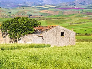 Italy, Sicily, Trapani. Alcamo countryside