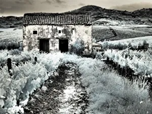 Images Dated 2nd May 2016: Italy, Sicily, Trapani. Alcamo countryside