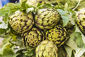 Images Dated 4th February 2020: Italy, Sicily, Trapani Province, Trapani. Artichokes for sale at the market in Trapani