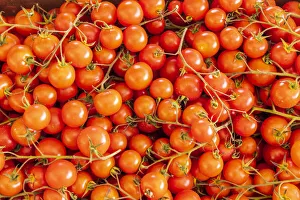 Images Dated 4th February 2020: Italy, Sicily, Trapani Province, Trapani. Tomatoes for sale at the market in the town of
