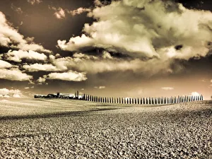 Images Dated 1st February 2020: Italy, Southern Tuscany. Infrared image of long row of Cypress