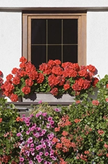 Italy, Trentino - Alto Adige, Bolzano province, Dolomites, Val di Funes, Tiso