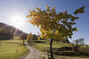 Images Dated 31st October 2005: Italy, Trentino - Alto Adige, Bolzano province, Dolomites, Val di Funes