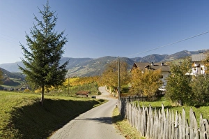 Italy, Trentino - Alto Adige, Bolzano province, Dolomites, Val di Funes, Nafen