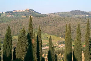 Italy, Tuscan landscape
