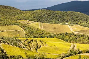 Prints of Italy, Tuscan valley in autumn Images Dated 2019 January: Italy, Tuscan valley in autumn