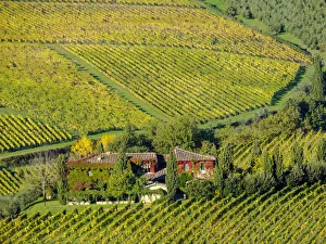 Images Dated 27th October 2017: Italy, Tuscany. Autumn vineyards near the town of Panzano
