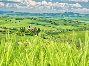 Wheat Prints: Italy, Tuscany. Belvedere Farmhouse in the Val d'Orcia Valley