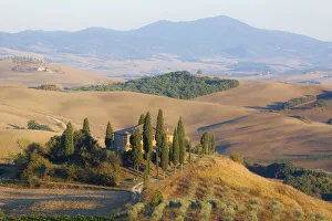 Europe Prints: Italy, Tuscany. Belvedere House, Olive trees, and vineyards near San Quirico d Orcia