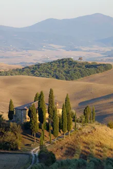 Images Dated 13th April 2022: Italy, Tuscany. Belvedere House, Olive trees, and vineyards near San Quirico d Orcia