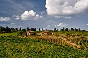 Montalcino Prints: Italy, Tuscany. Brunello is the star wine of nearly 200 Montalcino wineries