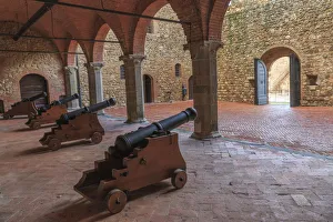 Montalcino Prints: Italy, Tuscany. The Castello Banfi estate, south of Montalcino, vineyards, olive groves