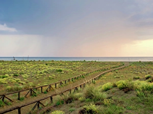 Images Dated 17th July 2024: Italy, Tuscany, dunes and beach. Path to the beach. Rains at the horizon