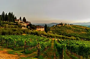 Italy, Tuscany, Greve. Dawn on Castello di Verrazzano estate