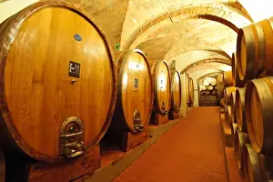 Images Dated 13th September 2010: Italy, Tuscany, Greve. The wine cellar in at Castello di Gabbiano