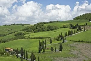 Images Dated 9th May 2006: Italy, Tuscany. La Foce. A curved road winds up the hillside past hay fields