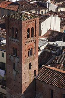 Bell Tower Prints: Italy, Tuscany, Lucca. The bell tower of the church San Pietro Somaldi