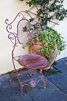 Images Dated 2022: Italy, Tuscany, Lucca. Decorative chair and potted plant outside a shop in the Piazza dell Anfiteatro Romano