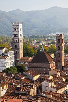 Bell Tower Prints: Italy, Tuscany, Lucca. The rooftops of the historic center of Lucca and the medieval bell tower of St