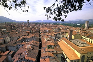 Italy, Tuscany, Lucca. Town panorama from tower, Casa dei Guinigi