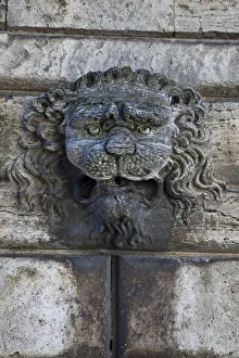 Carving Prints: Italy, Tuscany, Montepulciano. Carving of a lions head on a stone building