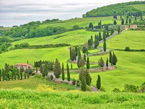 Winding Road Prints: Italy, Tuscany. Monticello, Winding road through fields of crops
