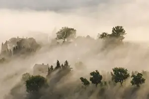 Images Dated 13th May 2010: Italy, Tuscany. Morning fog drifts over vineyards with sun breaking through