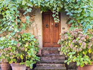 Images Dated 1st July 2022: Italy, Tuscany, Pienza. Doorway surrounded by flowers