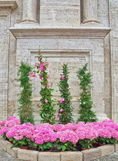 Romantic Prints: Italy, Tuscany, Pienza. Flowers in front of Pienza Cathedral
