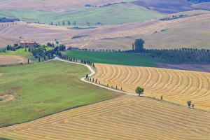Cultivation Prints: Italy, Tuscany, Pienza. Tuscan landscape