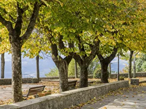 Daylight Prints: Italy, Tuscany, Radicofani. Park setting in the town of Radicofani overlooking the valley below