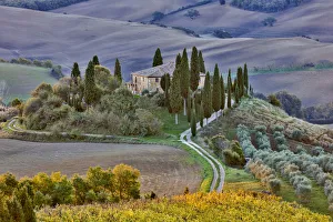 Images Dated 30th October 2016: Italy, Tuscany, The Road Home