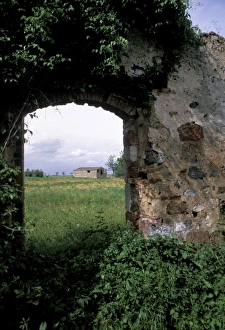 Arch Way Prints: Italy, Tuscany, Siena. Old buildings and vineyards