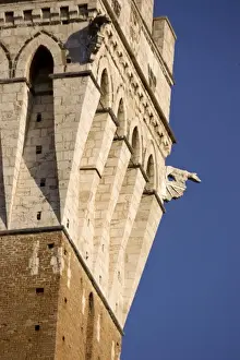 Sienna Prints: Italy, Tuscany, Sienna. Close-up of gargoyles and top of Torre del Mangia tower